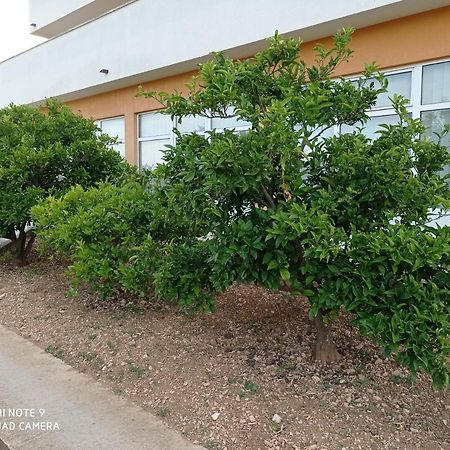 Studio Apartment With Balcony Trogir Ngoại thất bức ảnh