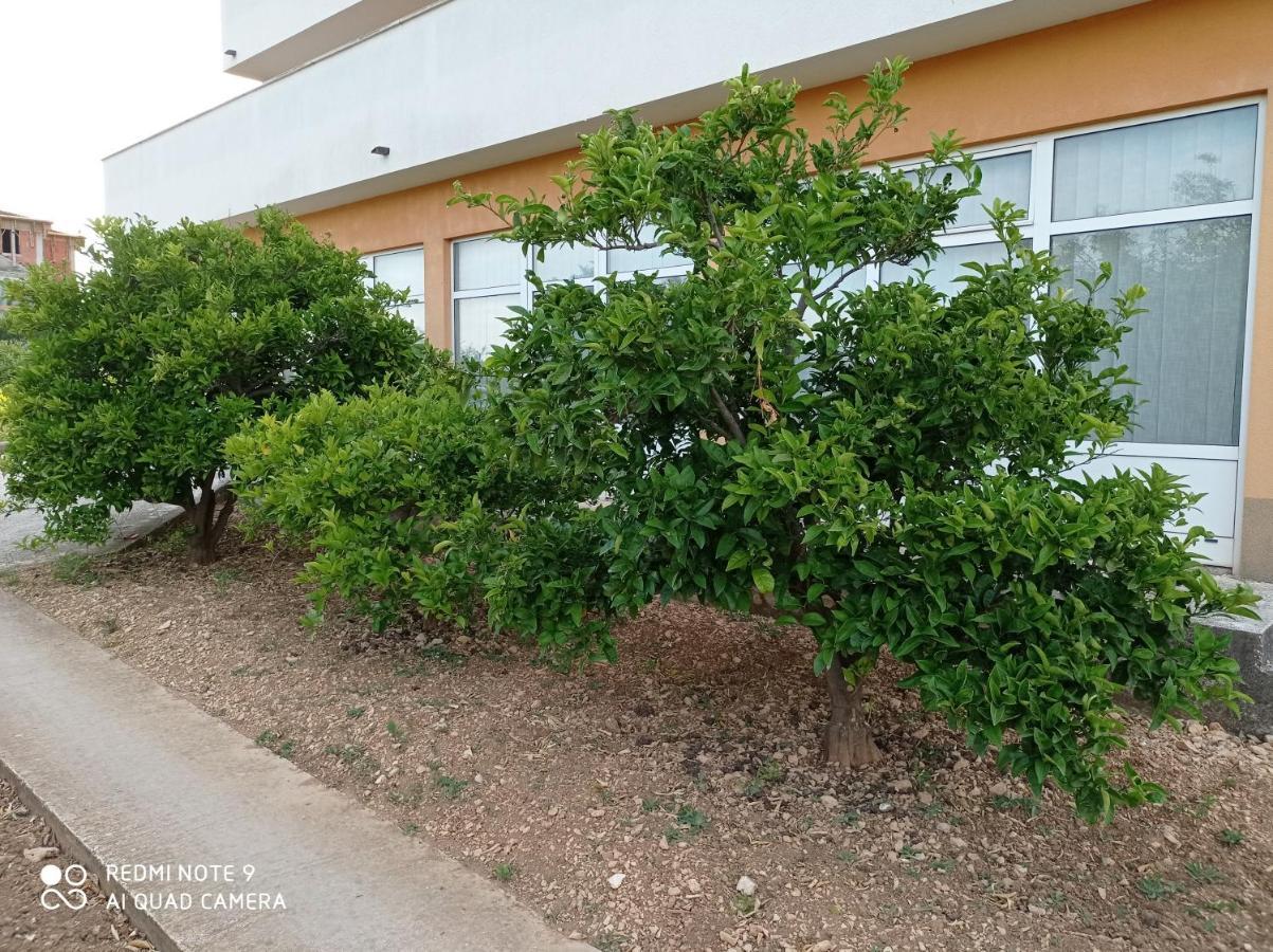 Studio Apartment With Balcony Trogir Ngoại thất bức ảnh